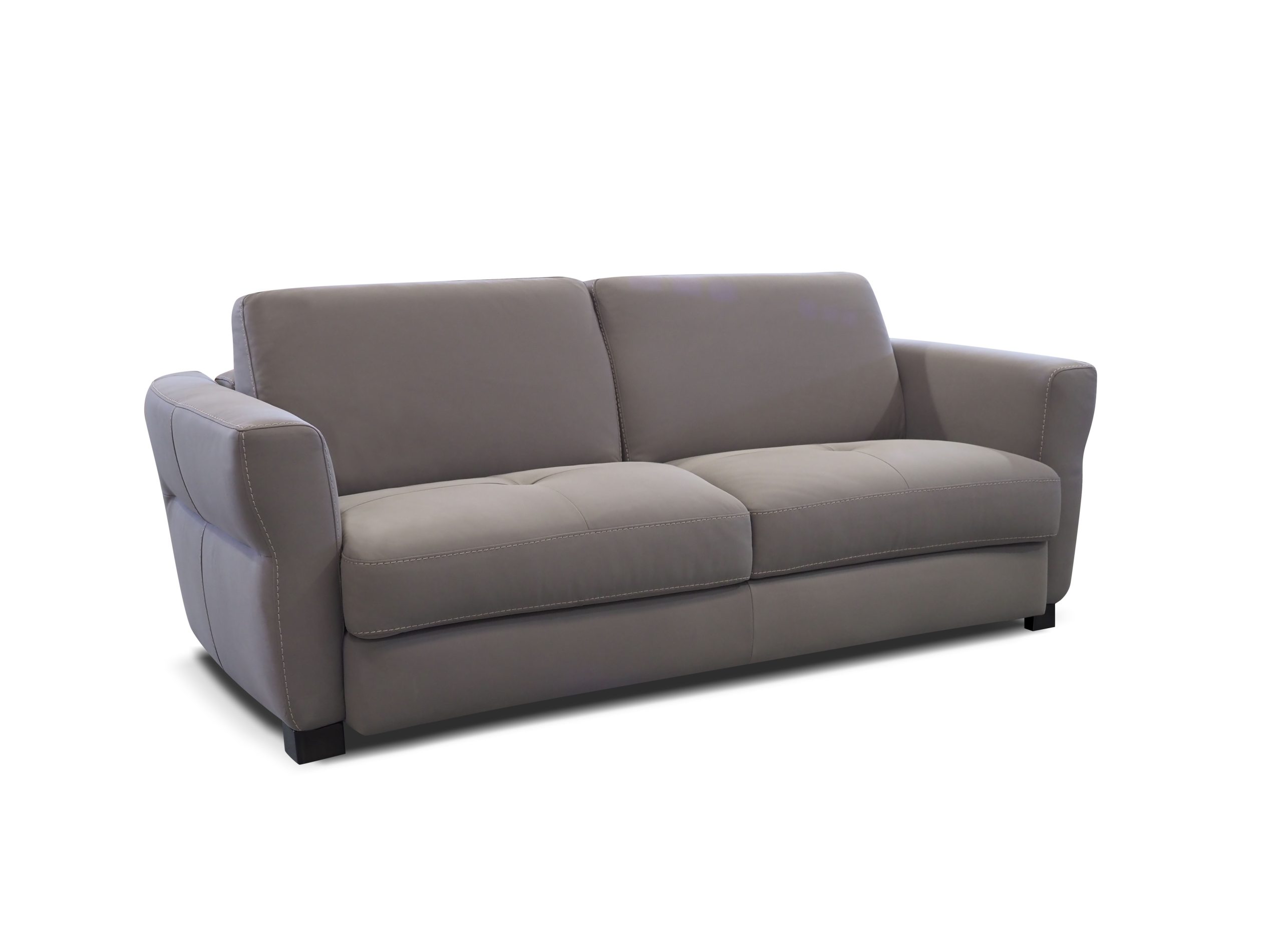 Bracci Cornelia Sleeper Sofa image 1