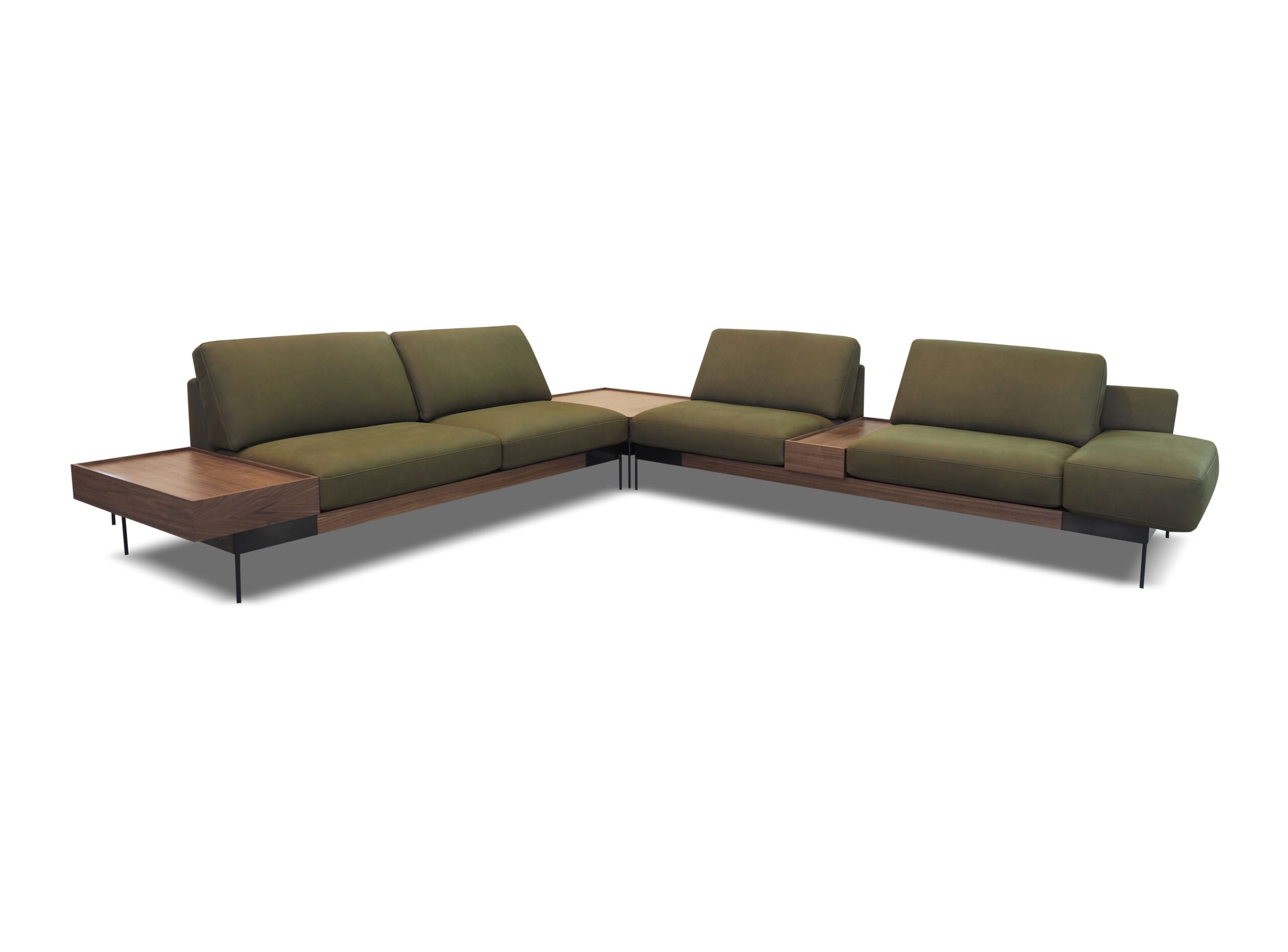 Plane Sectional image 10