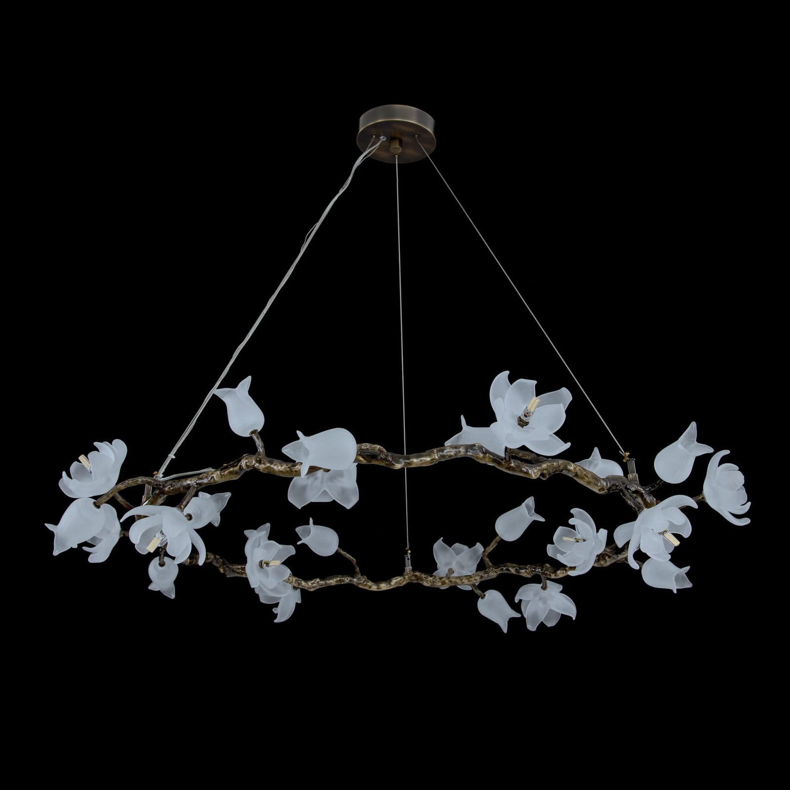 John Richard Churippu Magnolia & Tulip Glass Bronze Twelve-Light Halo Chandelier official image 2