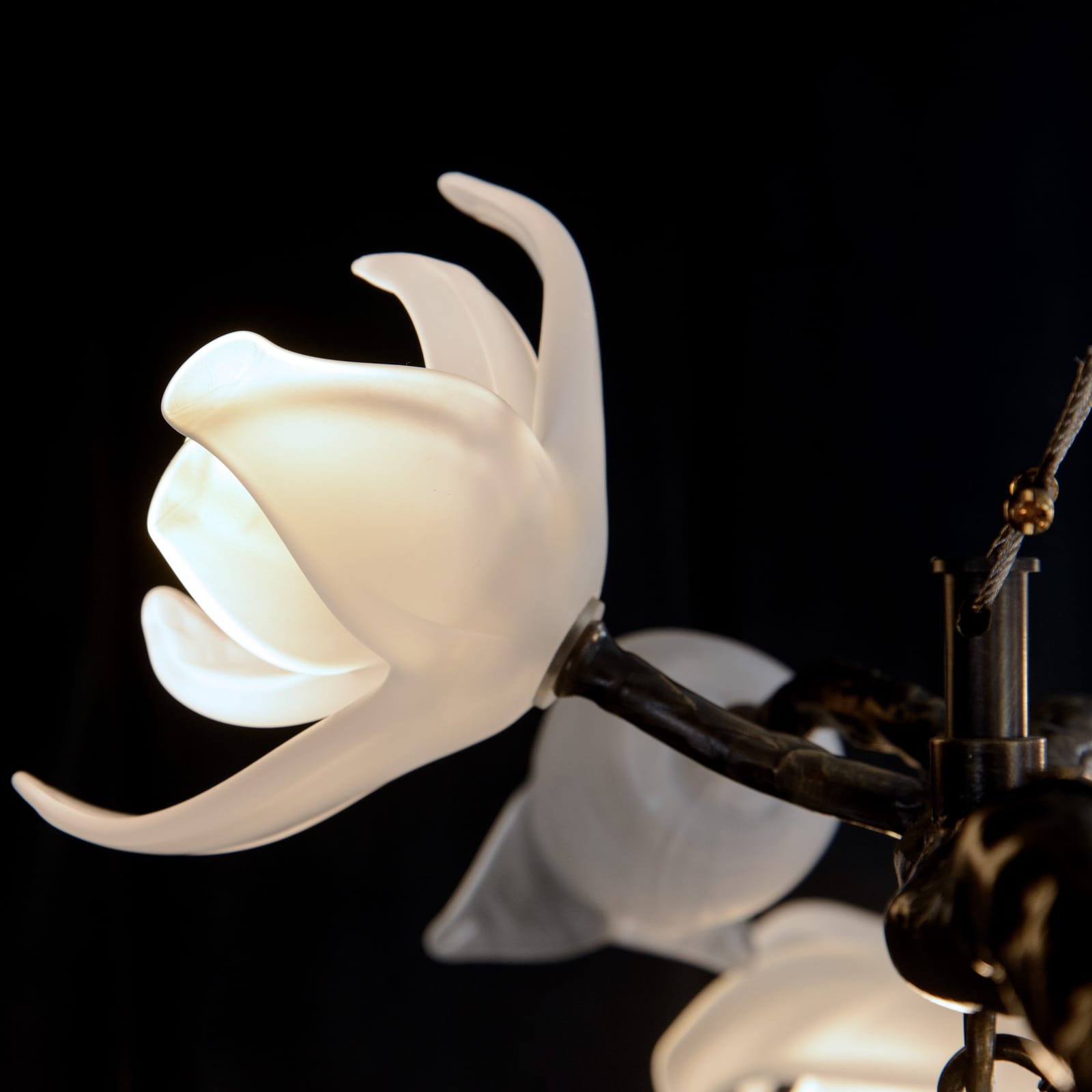 John Richard Churippu Magnolia & Tulip Glass Bronze Twelve-Light Halo Chandelier official image 5
