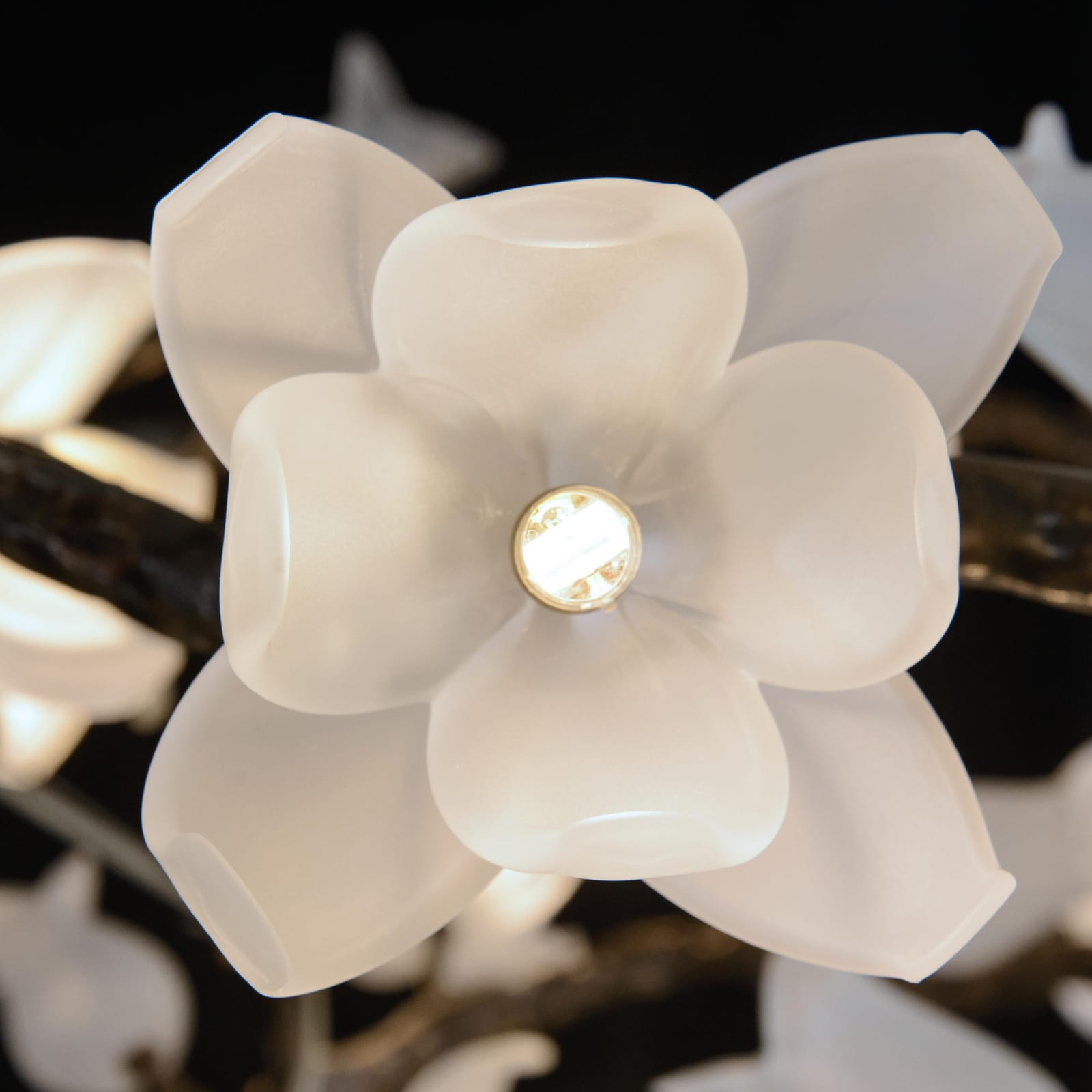 John Richard Churippu Magnolia & Tulip Glass Bronze Twelve-Light Halo Chandelier official image 6