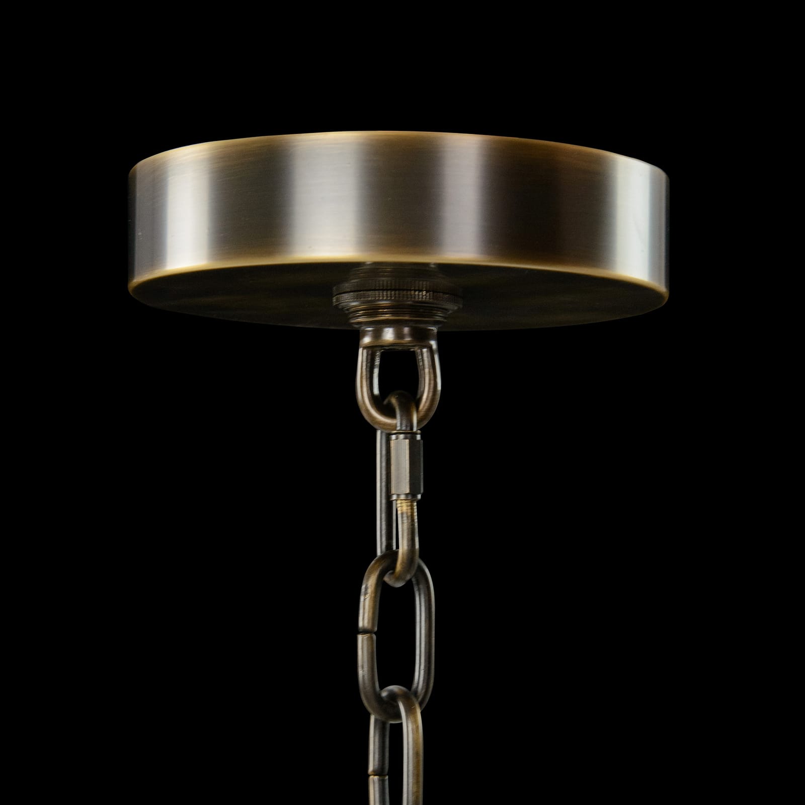 John Richard Churippu Magnolia & Tulip Glass Bronze Vertical Twenty-One Light Chandelier official image 7