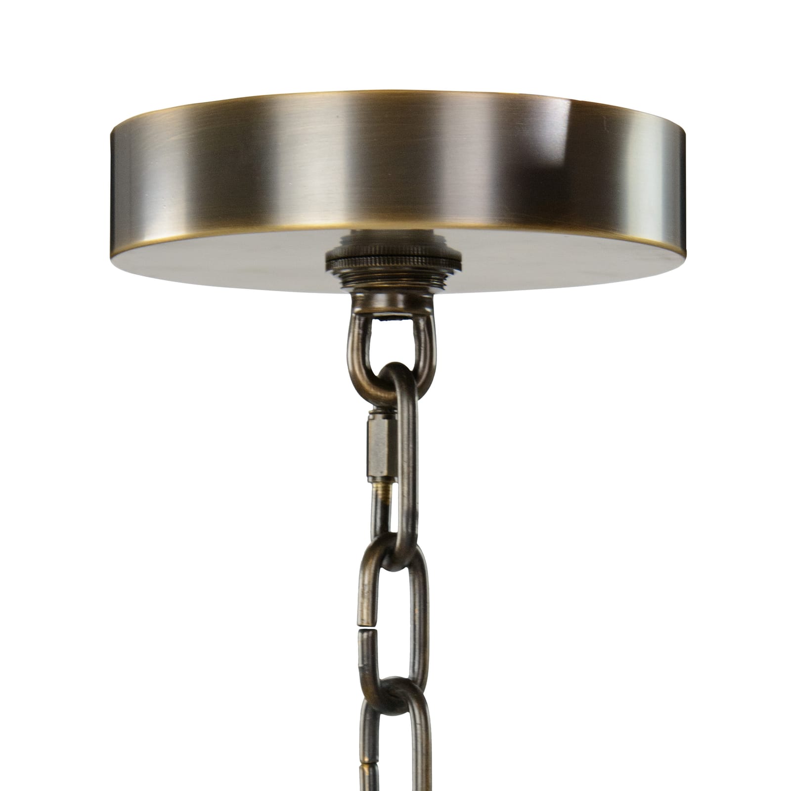 John Richard Churippu Magnolia & Tulip Glass Bronze Vertical Twenty-One Light Chandelier official image 8